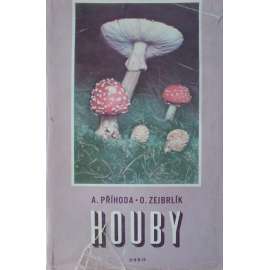 Houby (příroda, mj. Ze života hub, Význam hub v přírodě, Význam hub pro člověka, Jak sbíráme houby, Jak určujeme houby, Hmyz v houbách, Otravy houbami)