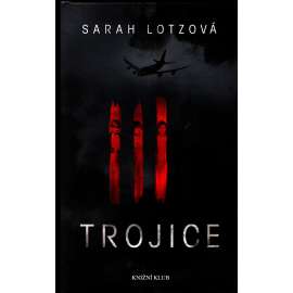 Trojice (thriller, letecká katastrofa, letectví)