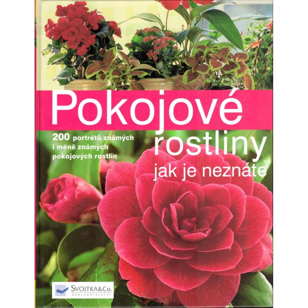 Pokojové rostliny. Jak je neznáte (příroda, květiny, design)