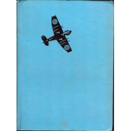 Hrdinové válečného nebe (druhá světová válka, letectví, letadla, RAF, piloti)