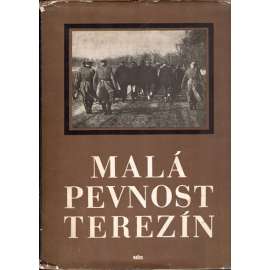 Malá pevnost Terezín (historie, druhá světová válka, holokaust)