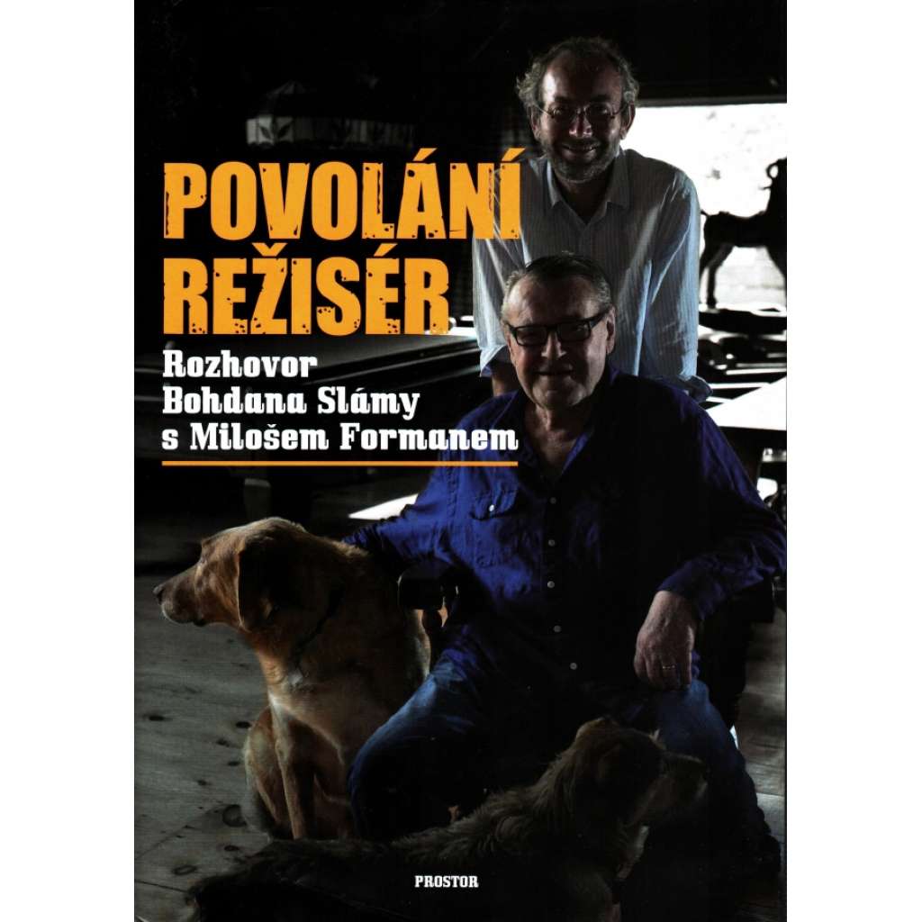 POVOLÁNÍ REŽISÉR