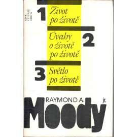 Život po životě, Úvahy o životě po životě, Světlo po životě ( Raymod Moody)