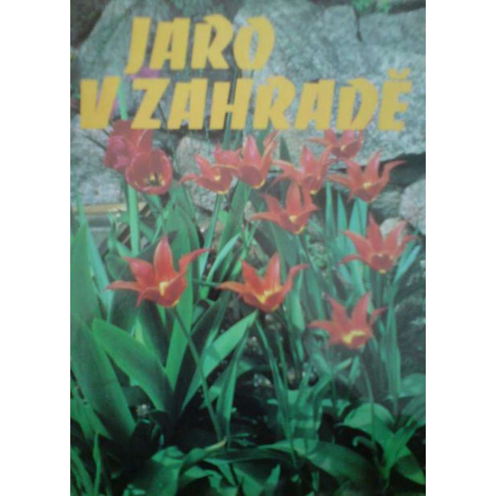 Jaro v zahradě (příroda, zahrada, květiny, design)
