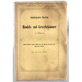 Statistischer Bericht der Handels- und Gewerbekammer in Pilsen [zpráva Obchodní a živnostenské komory v Plzni]