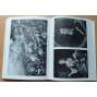 Paintings. Birmingham Art Gallery [katalog maleb]