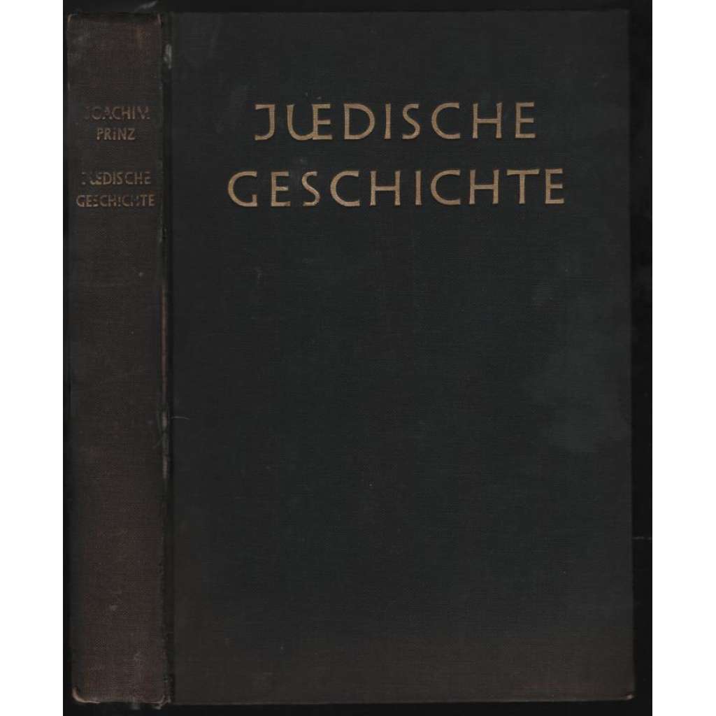Jüdische Geschichte [historie Židů]