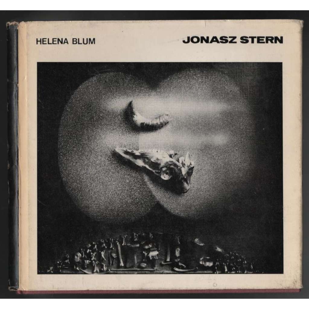 Jonasz Stern [polský malíř]