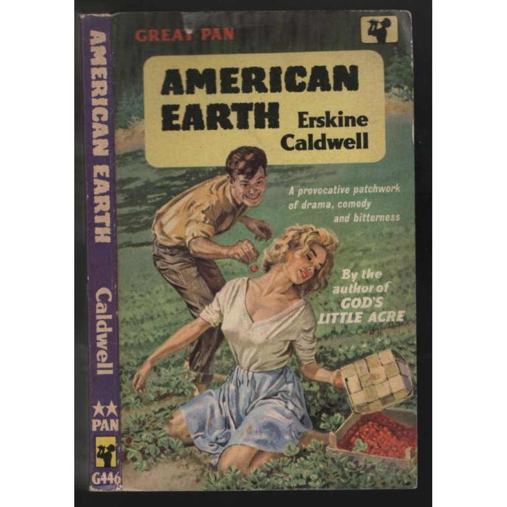 American Earth [americké povídky]
