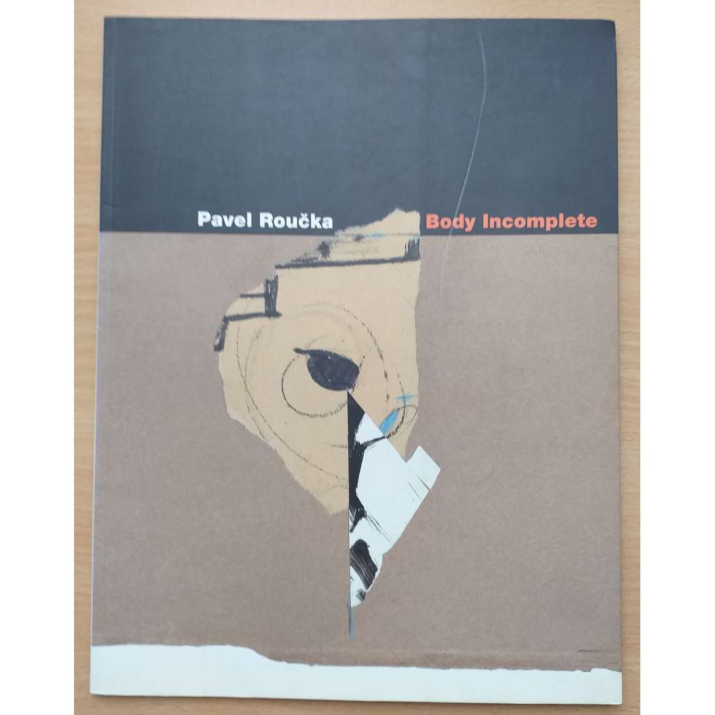 Pavel Roučka. Body Incomplete [malířství]