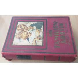 Die Familien-Ärztin. Ein ärztliches Nachschlagebuch [příručka zdravotní péče]