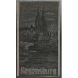 Führer durch Regensburg und zur Walhalla und Befreiungshalle [průvodce, Regensburg]