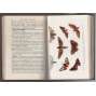 A First Book of Zoology [zoologie]