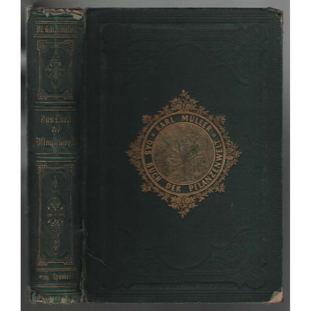 Das Buch der Pflanzenwelt. Eine botanische Reise um die Welt. Versuch einer kosmischen Botanik [botanika]