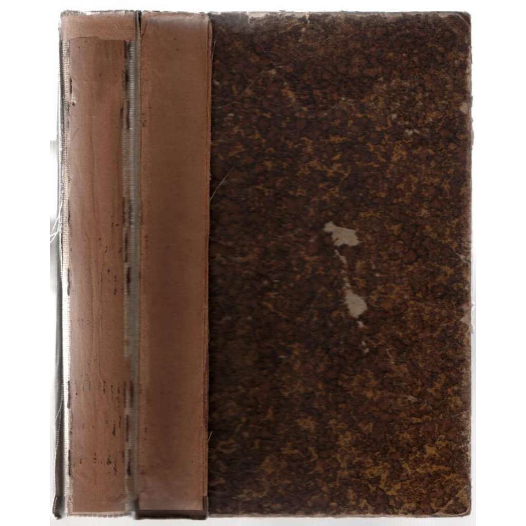 Jahrbuch für Sozialwissenschaft und Sozialpolitik; Erster Jahrgang, zweite Hälfte 1880 [Švýcarsko, společenské vědy]