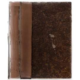 Jahrbuch für Sozialwissenschaft und Sozialpolitik; Erster Jahrgang, zweite Hälfte 1880 [Švýcarsko, společenské vědy]