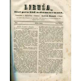 Libuša – List pro lid a domácnost, roč. II (1864)