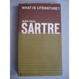 What is literature ? (Co je literatura ?)