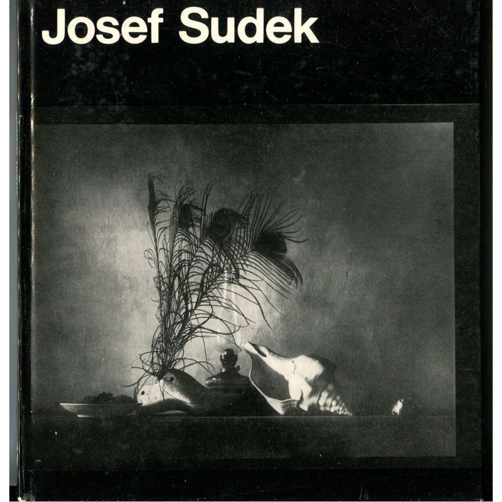 Josef Sudek [umělecká fotografie; umění; německy]