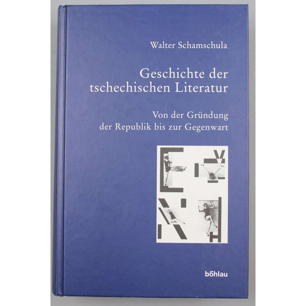 Geschichte der tschechischen Literatur. Bd. III. Von der Gründung der Republik bis zur Gegenwart [Dějiny české literatury, 3]