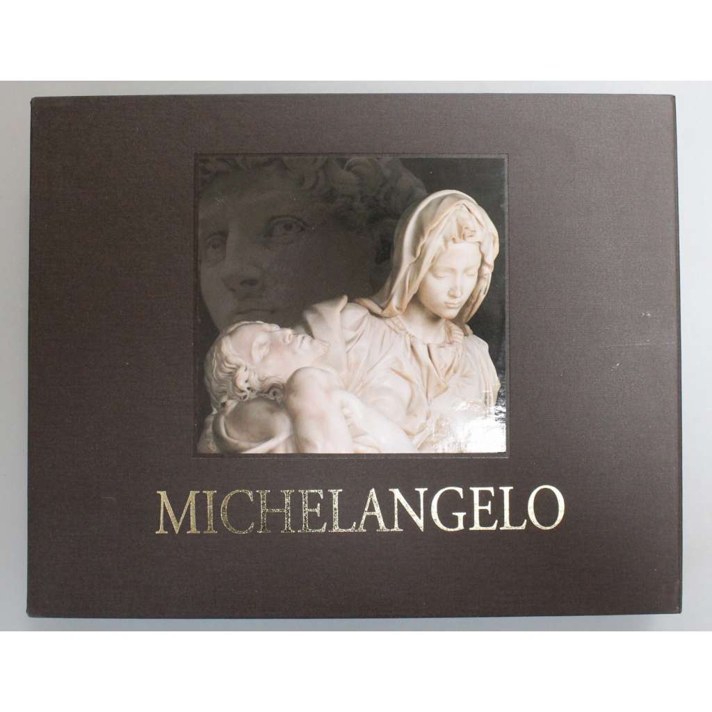 Michelangelo (monografie, malířství, sochařství, kresba, architektura, mj. David, Pieta, náhrobek papeže Julia II., Sixtinská kaple)