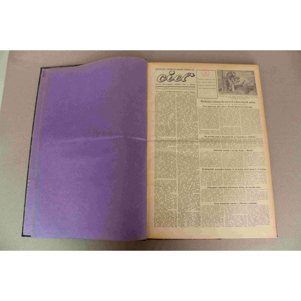 Cieľ. Orgán OV KSS a rady ONV v Žiline 1954, roč. V. (noviny, Žilina, Slovensko, týdeník, mj. Protiludový charakter ludáckej ideológie, Univerzita, kde študoval Lenin, Radostný 1. Máj, X. sjazd KSČ)