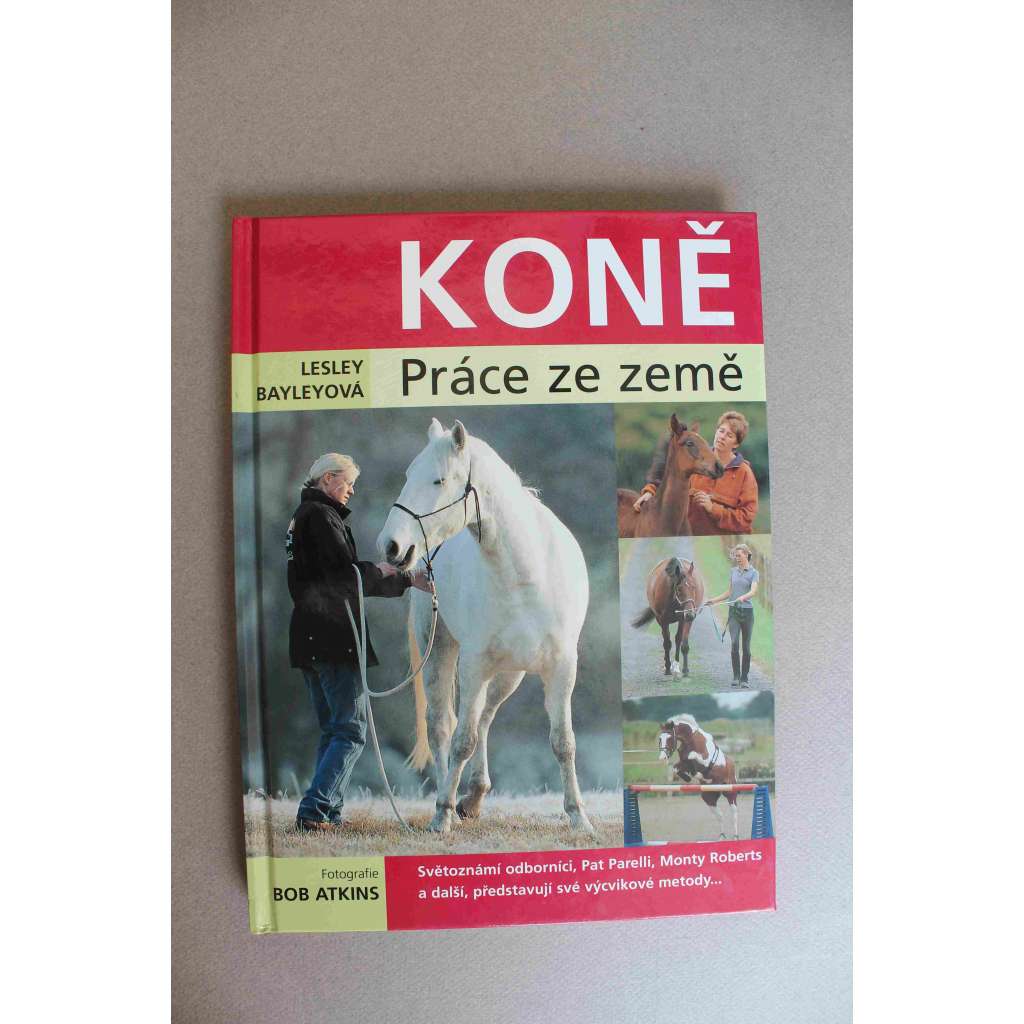 Koně. Práce ze země (výcvik, chov koní, příručka)