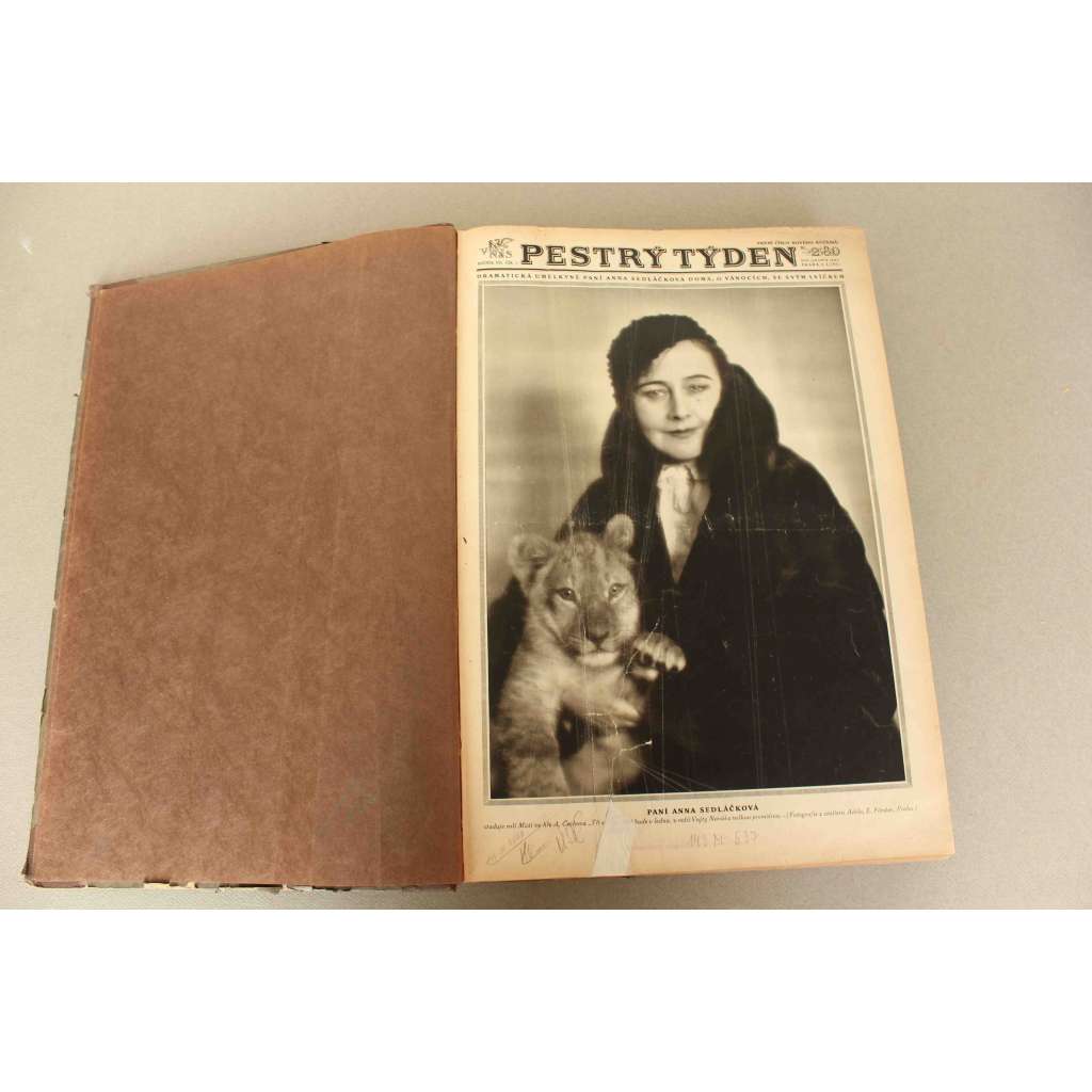 Pestrý týden 1932, roč. VIII (časopis, týdeník, první republika, mj. Členská výstava SVU Mánes, Alma Mater, Praktická domácnost, Anna Sedláčková, Plukovník J. J. Švec, Adolf Loos zemřel)