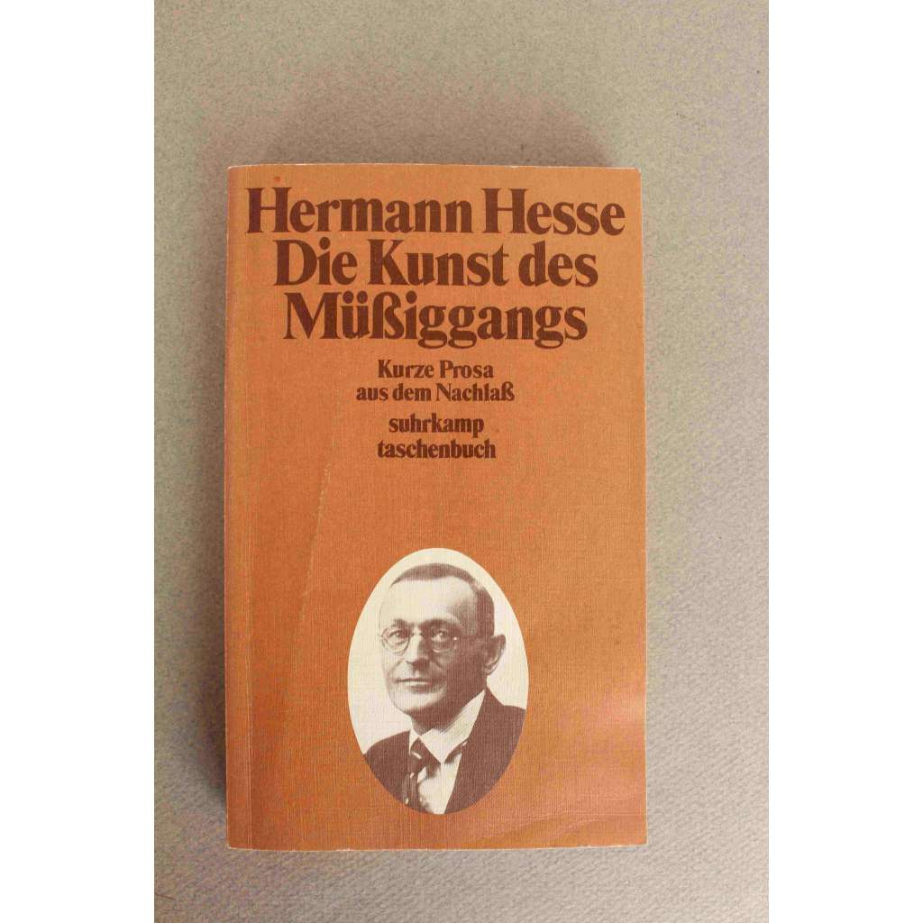 Die Kunst des Müssiggangs (Suhrkamp taschenbuch) (Umění zahálky, beletrie)