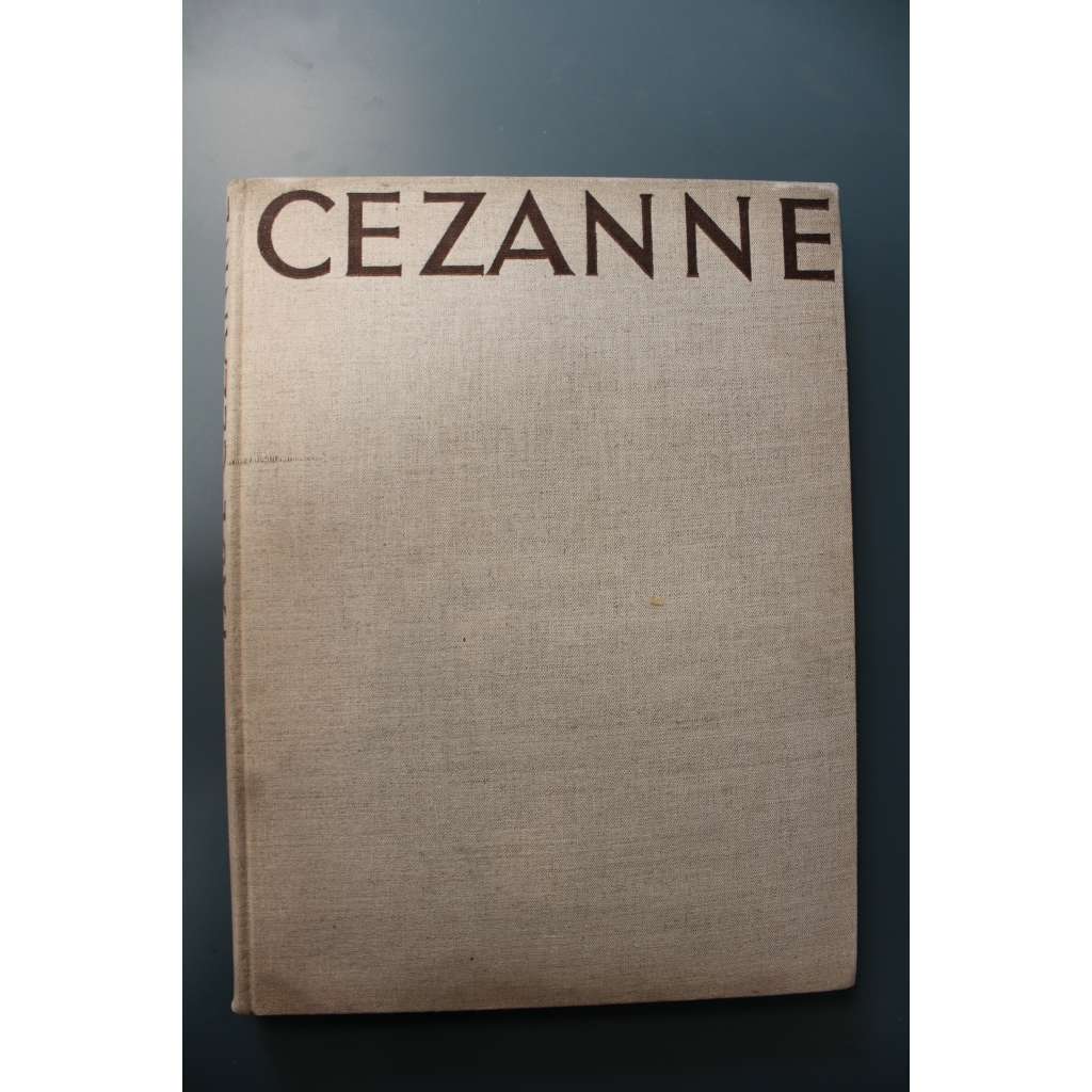 Paul Cézanne (malířství, kresba, postimpresionismus)