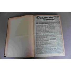 Robotnické noviny 1932, roč. XXIX. (leden-březen) (noviny, deník, první republika, Slovensko, mj. Výhlady do budúcna, Proces Stříbrný - Sichrovský, Baťa postaví fabriku tiež v Anglii, Japonsko dobýva pustiny, Volby Nemecko - Hindenburg [Hitler])