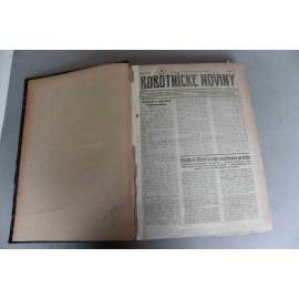 Robotnické noviny 1920, roč. XVII. (červenec-prosinec) (noviny, deník, první republika, Slovensko, mj. Bojkot Maďarska, Hlasovanie ludu na Tešínsku, Otázky prímeria medzi Polskem a Ruskom, Engels, Následky protičeských demoštrácií v Chebe)