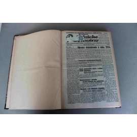 Robotnické noviny 1934, roč. XXXI. (leden-březen) (noviny, deník, první republika, Slovensko, mj.Simonove rozhovory s Mussolinim, Osecká tragédie, Van der Lubbe bol statý, Rakúska domobrana na ceste k hakenkrajclerstvu [Hitler], Generálná stávka Rakúsko)