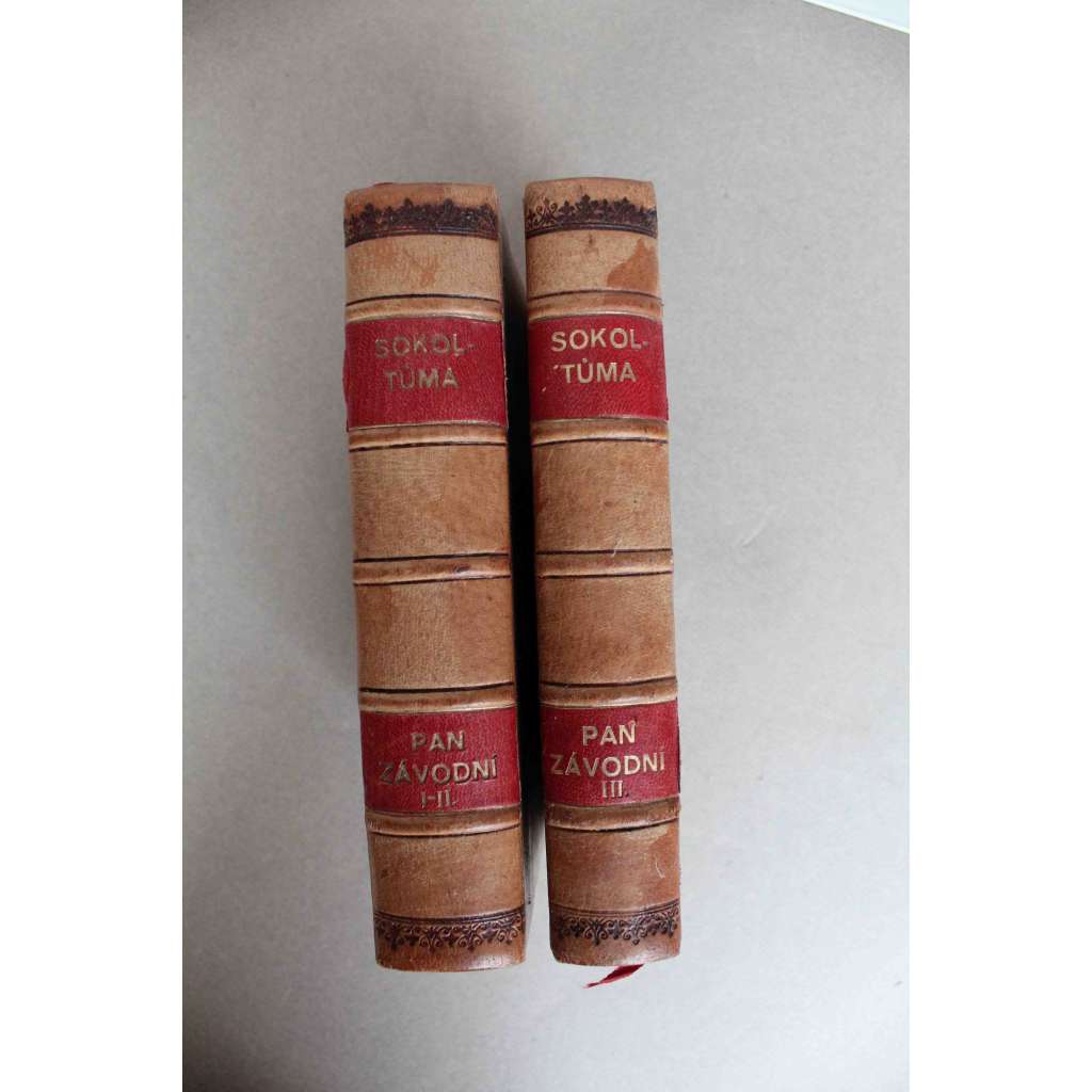 Pan Závodní (sociální román; 3 díly ve 2 svazcích; Ostravská trilogie; Ostrava; polokožená vazba - vazba kůže)