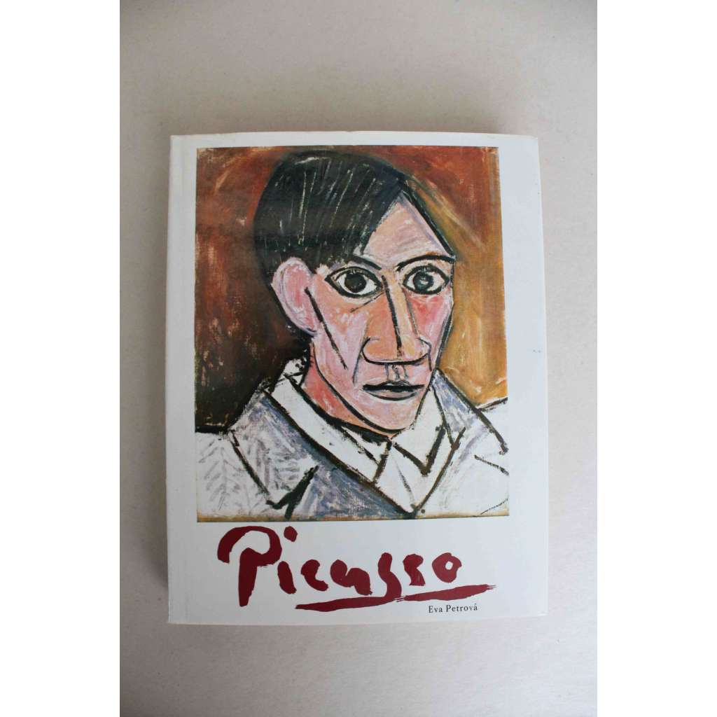 Picasso. Sein Werk in den Prager Sammlungen (Pablo Picasso. Jeho dílo v pražských sbírkách; malířství, kubismus, kresby, litografie)