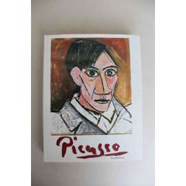 Picasso. Sein Werk in den Prager Sammlungen (Pablo Picasso. Jeho dílo v pražských sbírkách; malířství, kubismus, kresby, litografie)