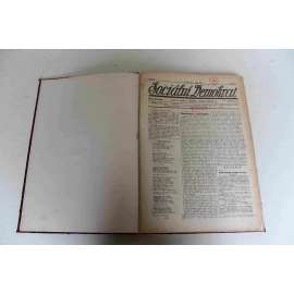 Sociální Demokrat 1919-1920, roč. I. (srpen-únor) (noviny, deník, první republika, mj. Marxismus a marxobijci, Politika levice, Alsasko-Lotrinsko, A. Nemy - Inteligenti v zajetí, 28. října, K druhému výročí ruské proletářské revoluce)