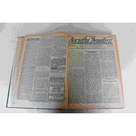 Sociální Demokrat 1919-1920, roč. I. (únor-únor) (noviny, deník, první republika, mj. Tatar, Čech a Kirgiz-bolševik, Pravda o ruské revoluci, Byl K. Marx německým nacionálem?, Pozdrav poraženým v Budapešti, Zbahnění revoluce)