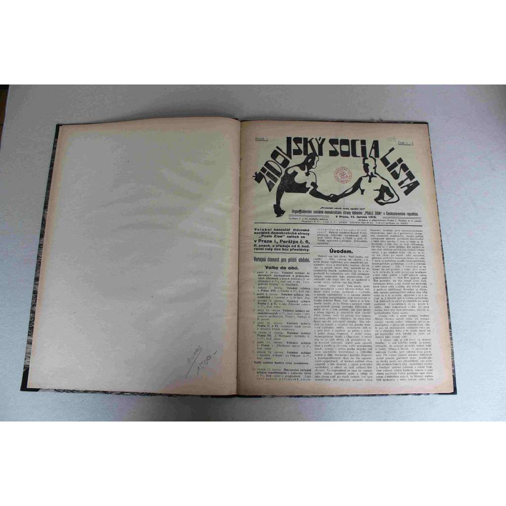 Židovský socialista 1919, roč. I. (noviny, orgán židovské sociálně-demokratické strany "Poale Zion" v ČSR, židé, mj. K výročí Herzlova úmrtí, Židovská otázka, Socialism a Palestýna, Sionistická politika)