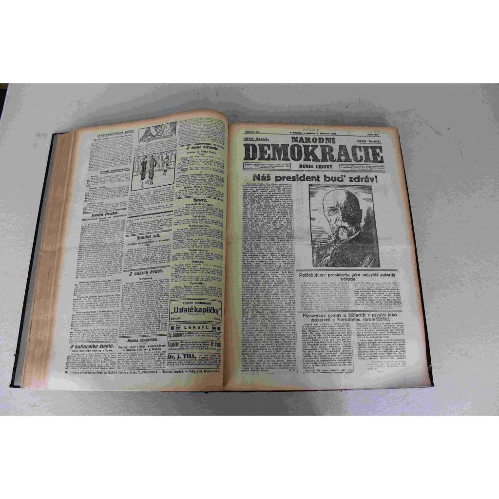 Národní demokracie 1925, roč. VII. (leden-červen) (noviny, deník, první republika, mj. Socialistická práce pro popolštění Těšínska, Sověty neuznáme!, Německo ohrožuje mír, Moskva odkopla pravé komunisty, Hindenburg přijal kandidaturu, Amundsen)