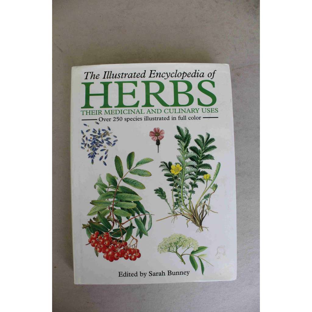 The Illustrated Encyclopedia of Herbs, Their Medicinal and Culinary Uses (Ilustrovaná encyklopedie bylin, jejich léčebného a kulinářského využití, bylinky, mj. koriandr, lékořice, bazalka, heřmánek)