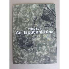 Miloš Šejn. Ani labuť ani Lůna (výstavní katalog, Kostel Zvěstování Panny Marie - Litoměřice, konceptuální umění, objekty, instalace) Miloš Šejn. Ani labuť ani Lůna (výstavní katalog, Kostel Zvěstování Panny Marie - Litoměřice, konceptuální umění, objekty, instalace)