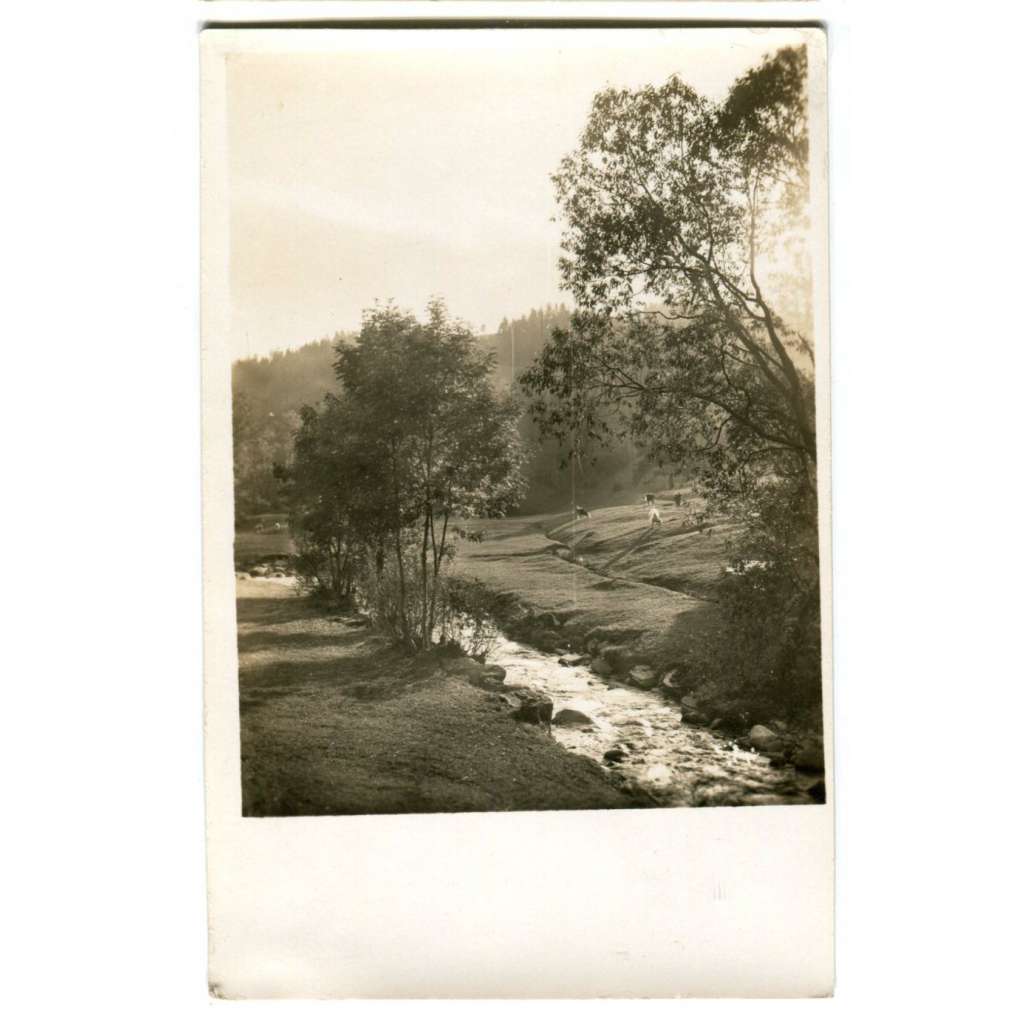 Zdobnice, Gross Stiebnitz, Rychnov nad Kněžnou Orlické hory