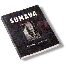 Šumava - Alfred Kubin / Josef Váchal HOL