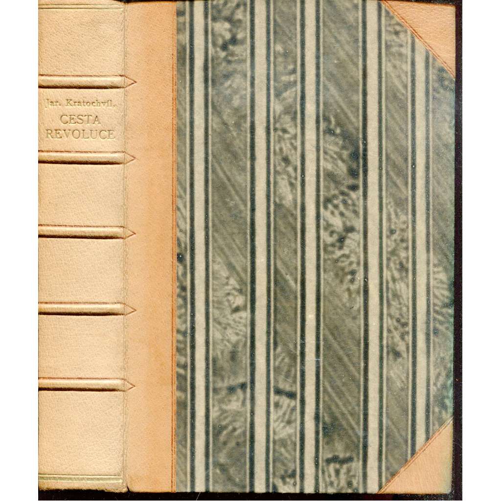 Cesta revoluce (vazba kůže - polokožená)