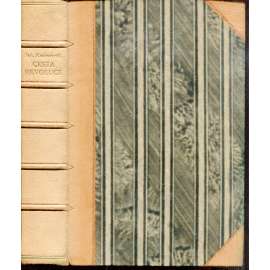 Cesta revoluce (vazba kůže - polokožená)