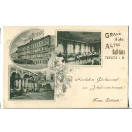 Teplice, Grand Hotel Altes Rathaus,, restaurace, hospoda