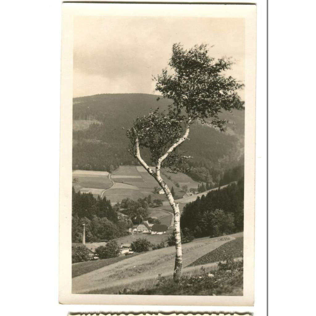 Deštné - Zákoutí, Rychnov nad Kněžnou, Orlické hory