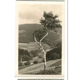 Deštné - Zákoutí, Rychnov nad Kněžnou, Orlické hory