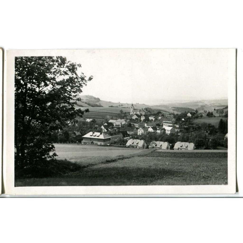 Olešnice, Rychnov nad Kněžnou, Orlické hory